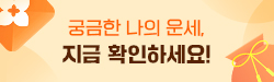 오늘의 운세 PC 배너